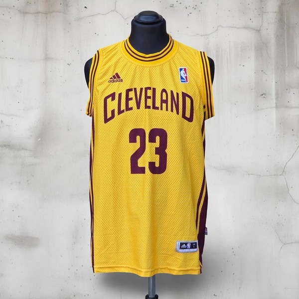Maglia NBA Vintage Cleveland Lebron James Adidas 